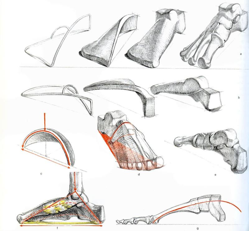 Баммес Готфрид ноги