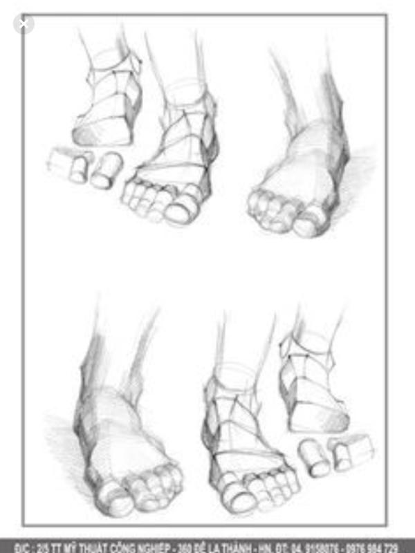 Конструктивное построение ноги