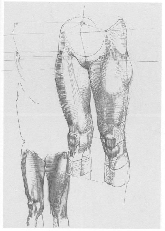 Готфрид Баммес коленный сустав