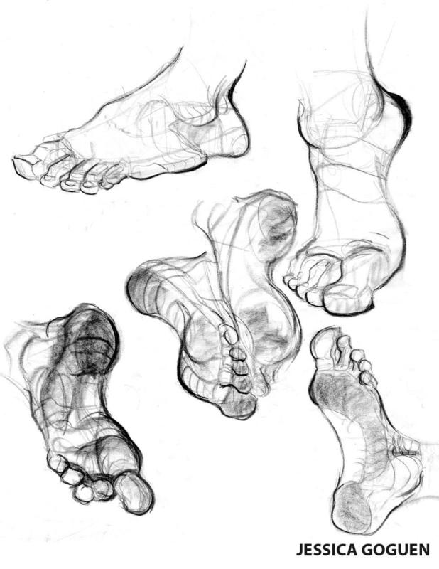 Ступня снизу референс