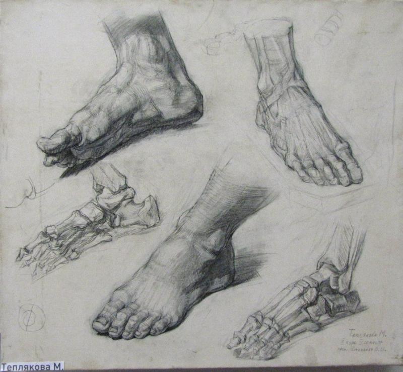 Рисунок гипсовой стопы Давида