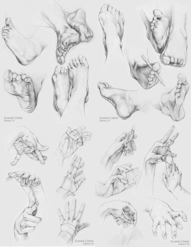 Наброски частей тела