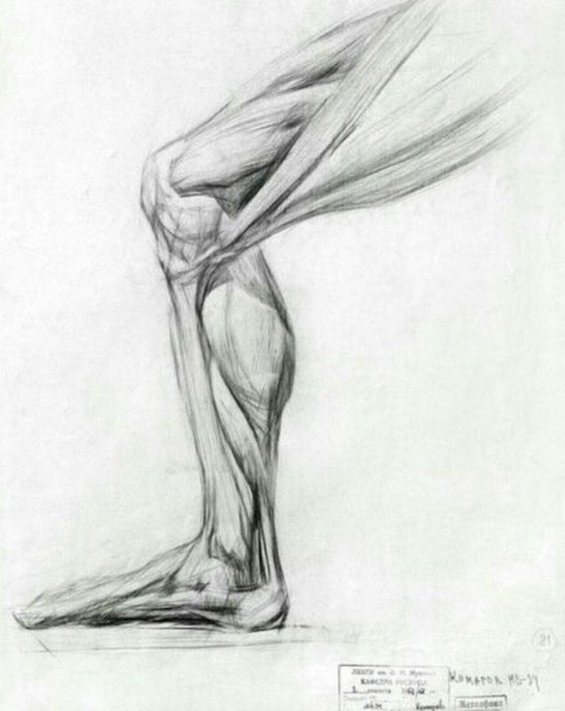 Экорше ноги Академический рисунок