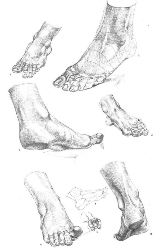 Баммес Готфрид ноги
