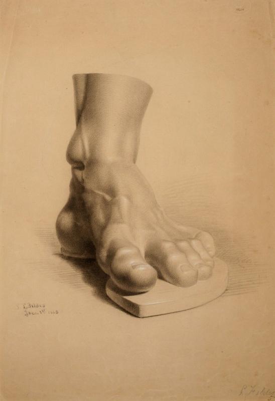 Рука Давида Экорше