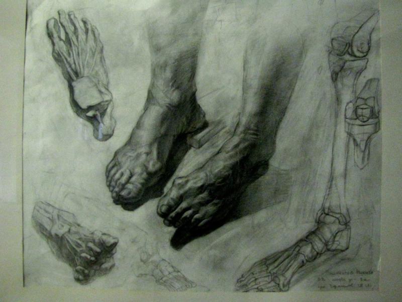 Руки и ноги Академический рисунок