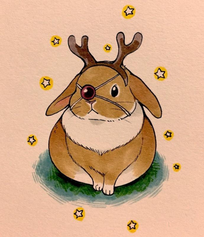 Заяц раскраска