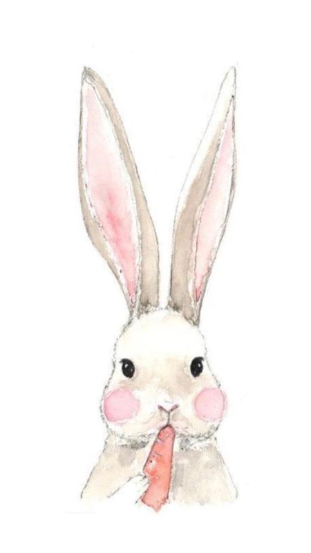 Рисунок зайца для срисовки