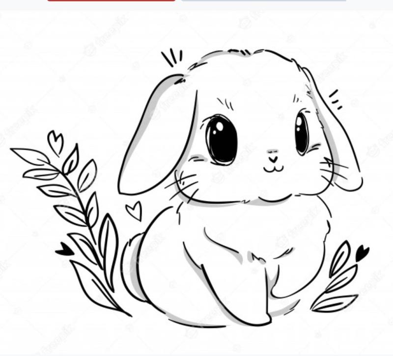 Наоми Лорд зайчик