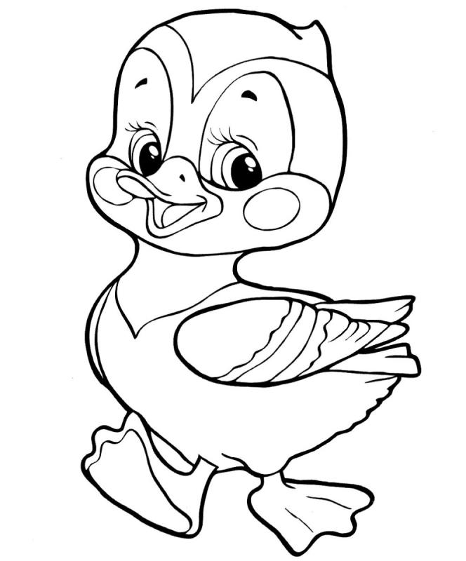 Утенок рисунок для детей