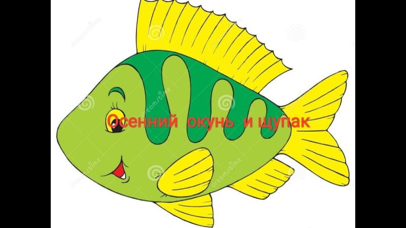 Костные рыбы