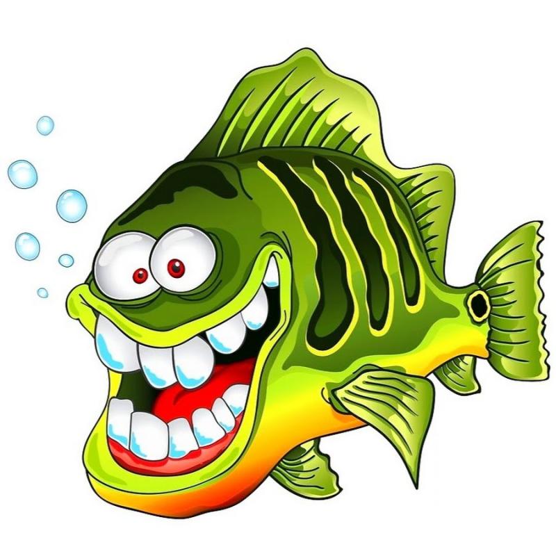 Окунь раскраска