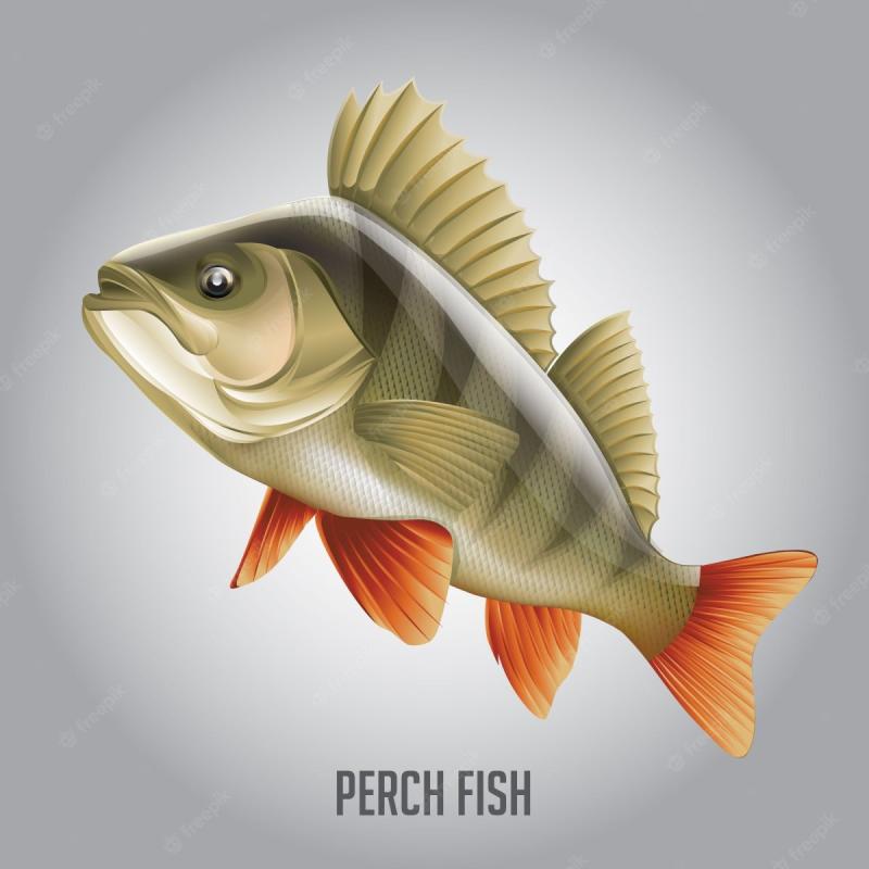 Рыба черно белая