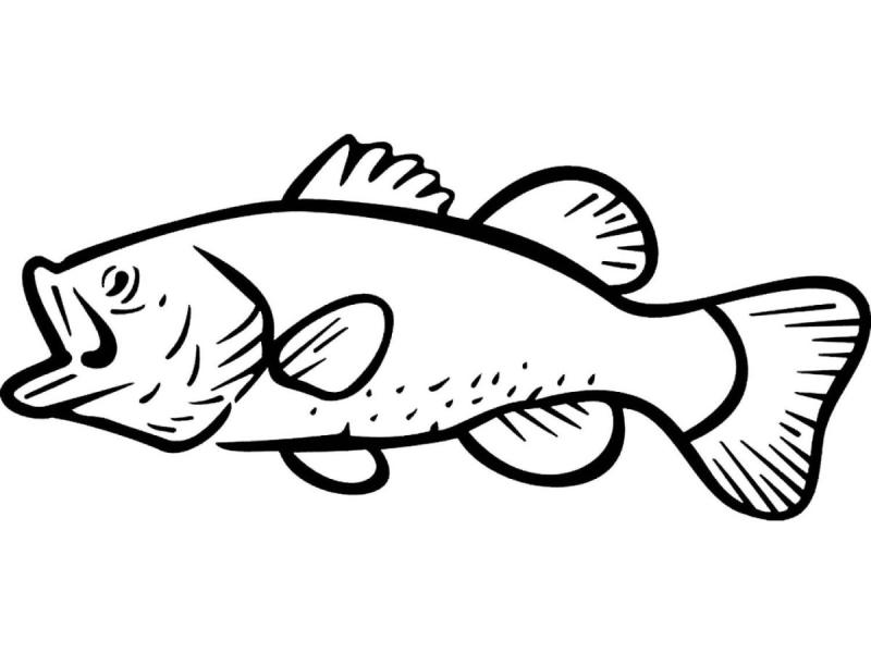 Окунь стилизованный