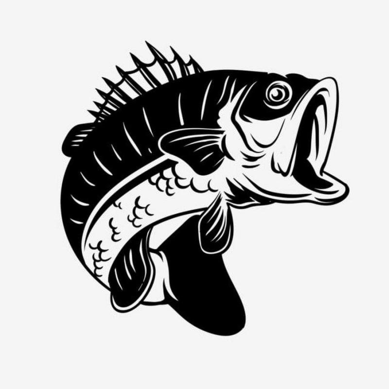 Ёрш раскраска для детей