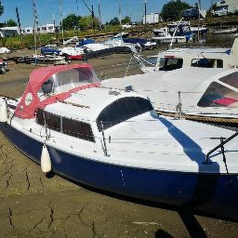 Окунь рисунок для детей