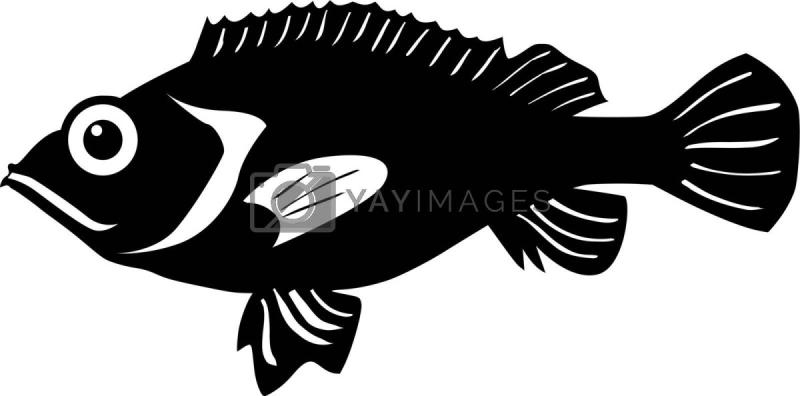 Речная рыба вектор