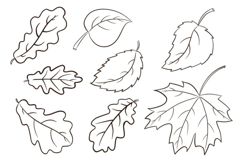 Листья раскраска