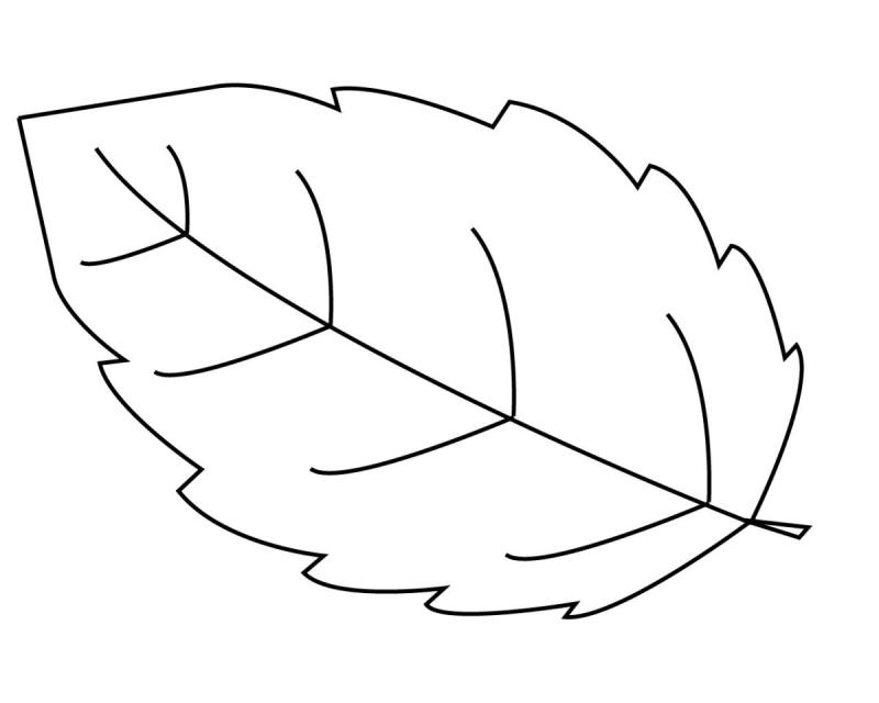 Листочки клена раскраска