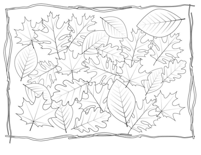 Листья раскраска