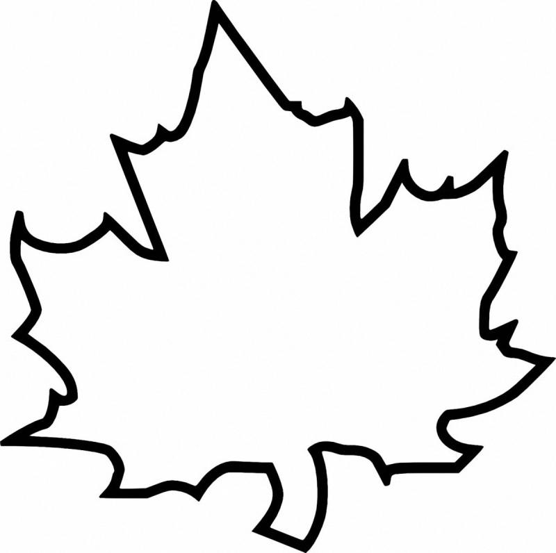 Осенние листья раскраска для детей73