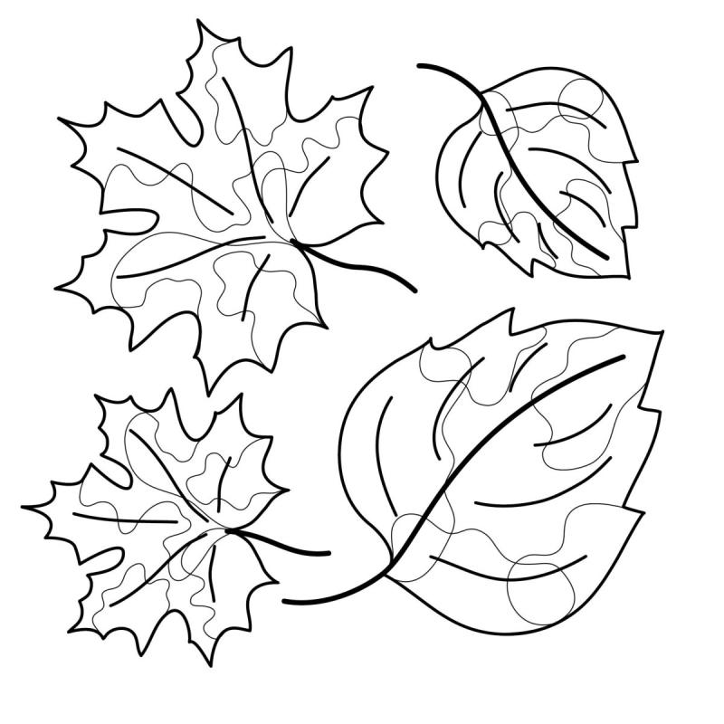 Осенние листья раскраска для детей74