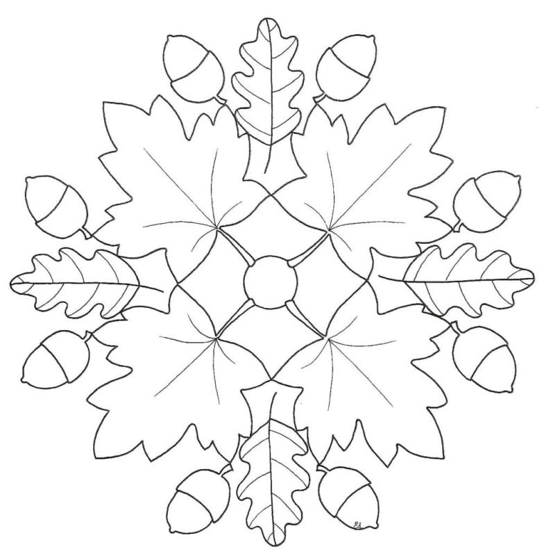 Форма листа березы