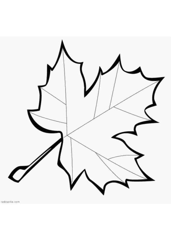 Осенние листочки раскраска