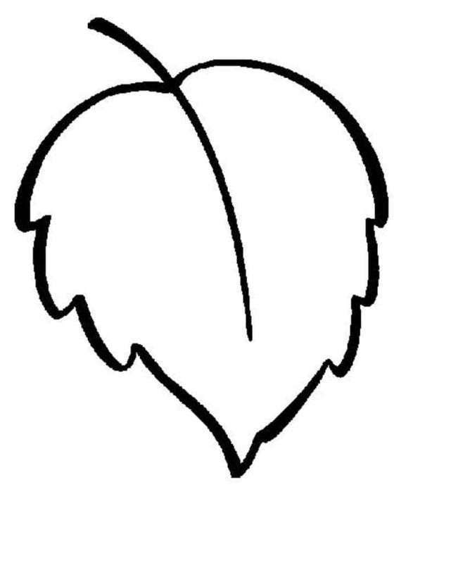 Осень листья чб