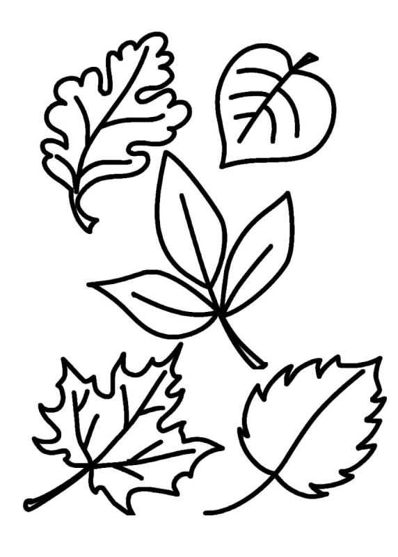 Осенние листья раскраска для детей