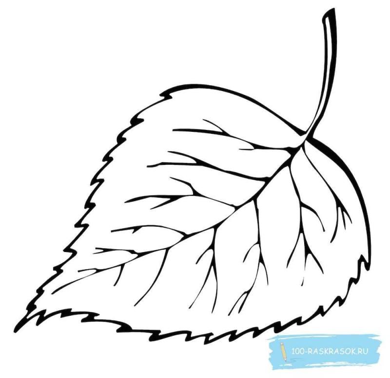 Осенние листья раскраска для детей