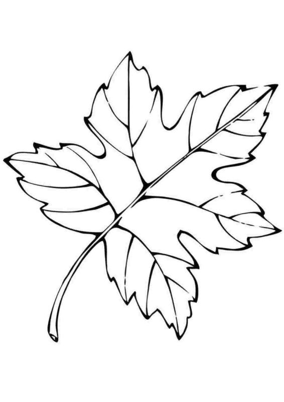Листья раскраска