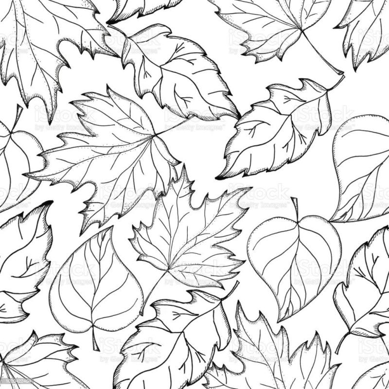 Лист клена трафарет