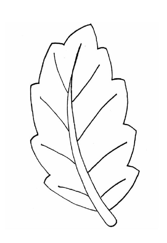Контур осенних листьев