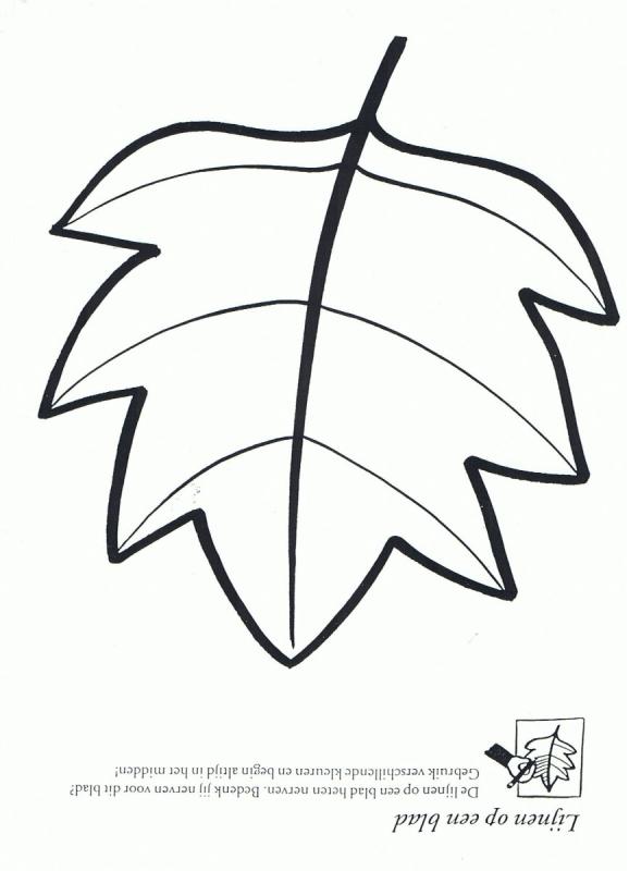 Листья раскраска