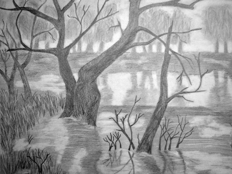 Летние зарисовки пейзажа