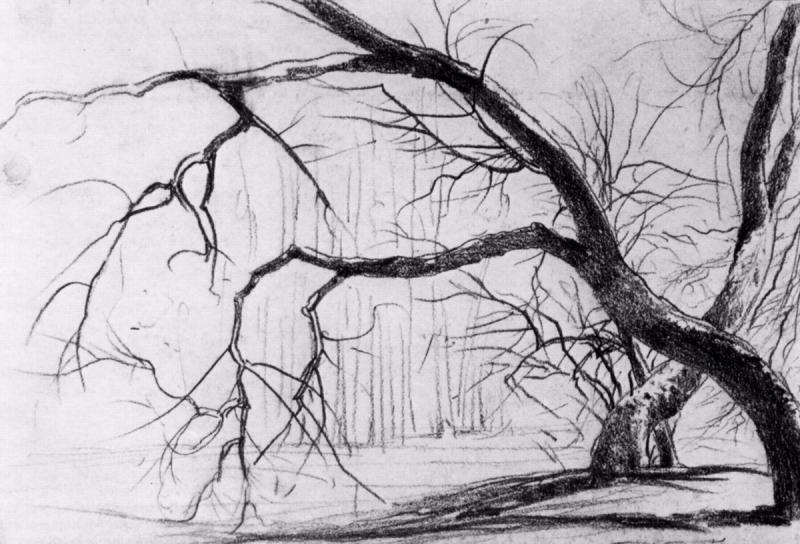 Красивые рисунки карандашом природа