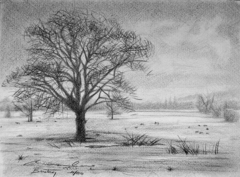 Природа карандашом