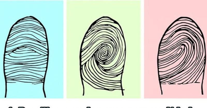 Характер и узоры отпечатков пальцев