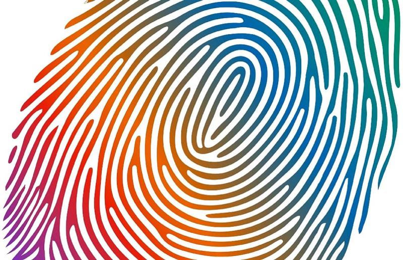 Отпечаток пальца крупно