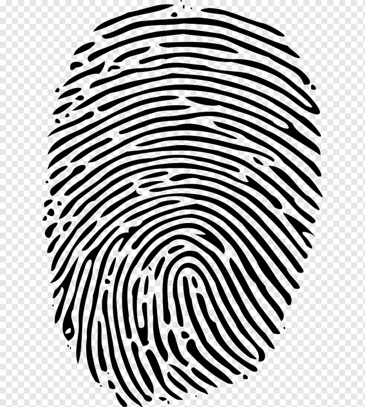 Гершель Отпечатки пальцев