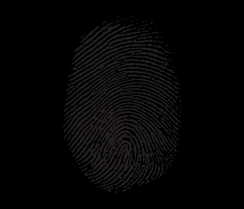 Отпечаток пальца руки