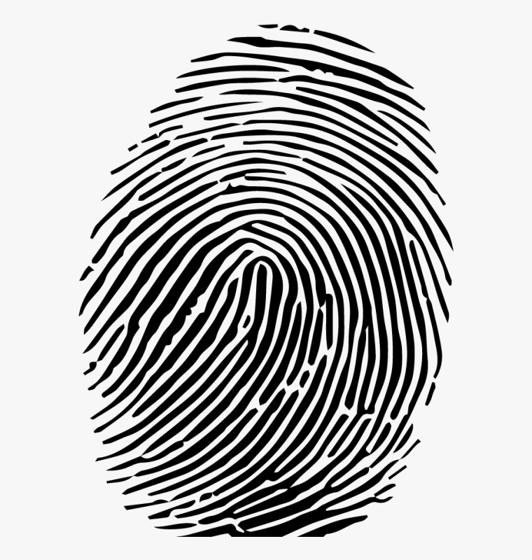 Отпечаток пальца