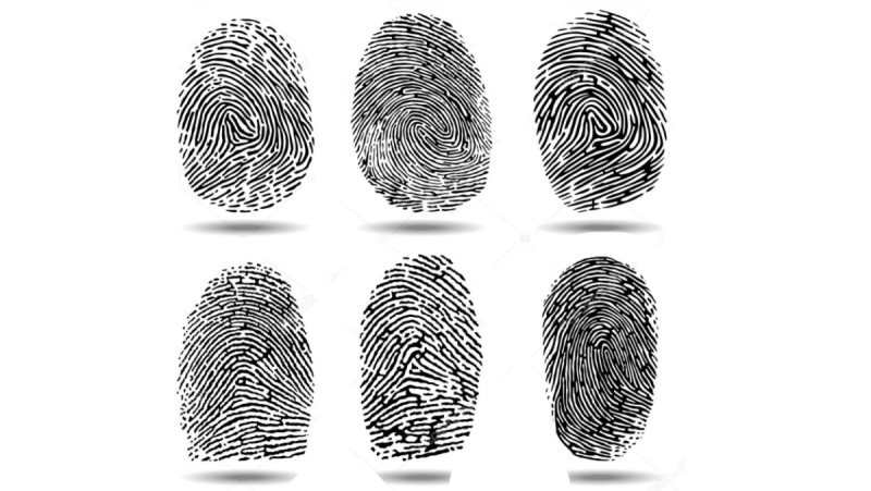 Разные Отпечатки пальцев