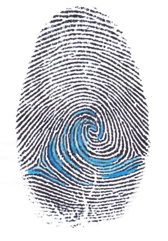 Отпечаток пальца спираль Фибоначчи