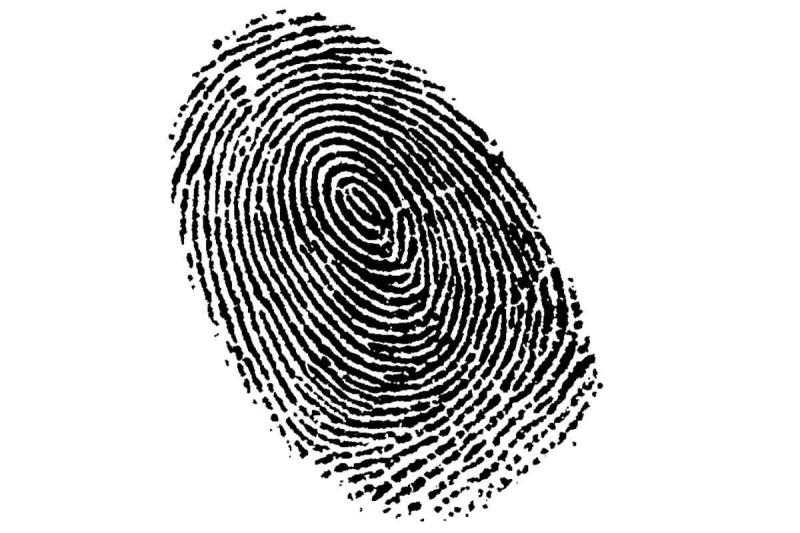 Отпечатки пальцев