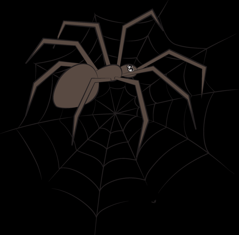 Паук на паутине раскраска