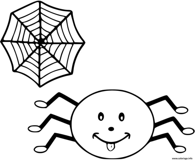 Раскраска паук вид сверху