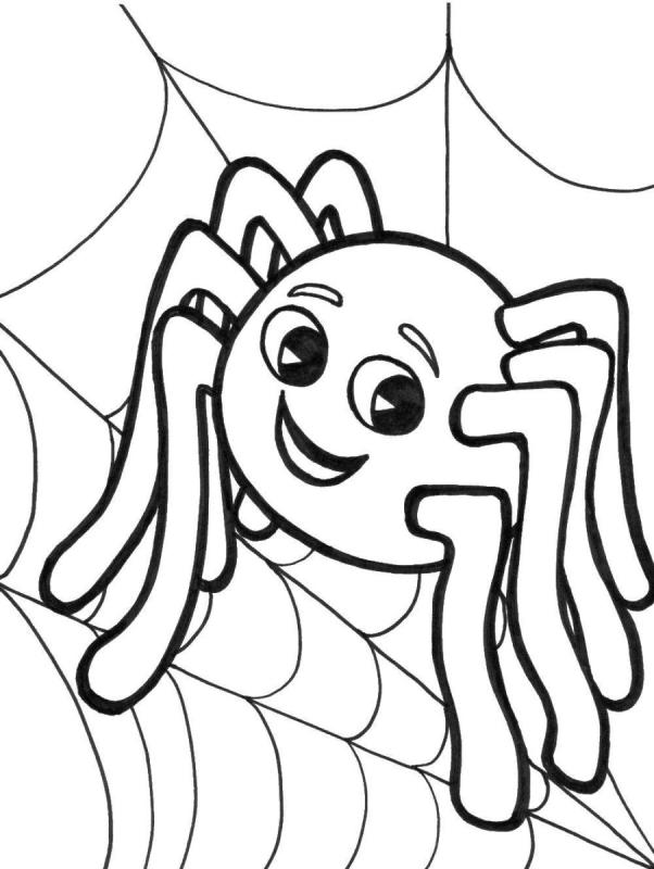 Раскраска паучок