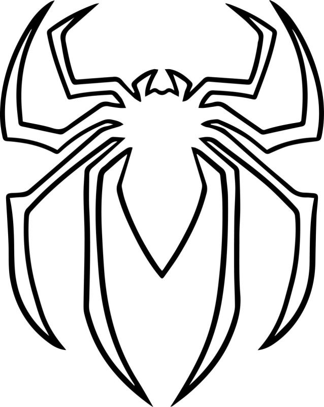 Милый паучок раскраска